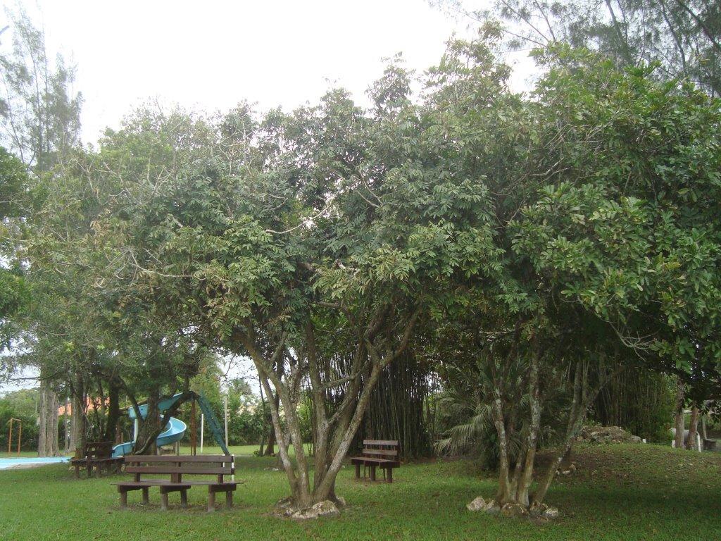 Sambura Chales Ilha Comprida Ngoại thất bức ảnh